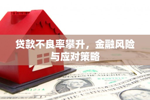 从江贷款不良率攀升，金融风险与应对策略
