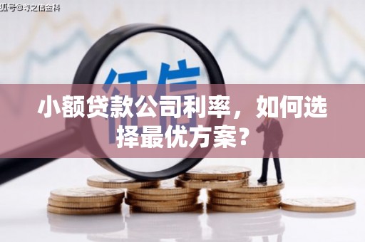 从江小额贷款公司利率，如何选择最优方案？