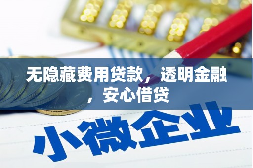 从江无隐藏费用贷款，透明金融，安心借贷