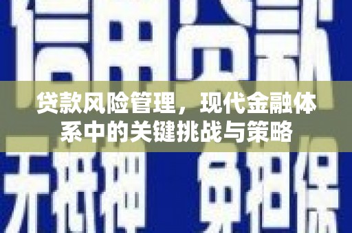 从江贷款风险管理，现代金融体系中的关键挑战与策略