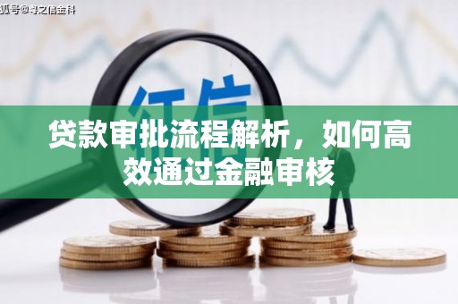 从江贷款审批流程解析，如何高效通过金融审核