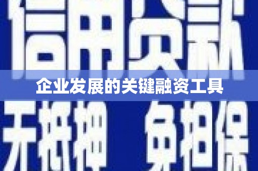 从江企业发展的关键融资工具