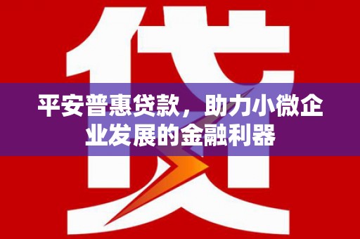 从江平安普惠贷款，助力小微企业发展的金融利器