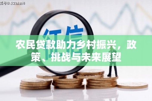 从江农民贷款助力乡村振兴，政策、挑战与未来展望