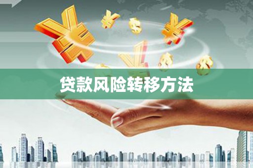 从江贷款风险转移方法
