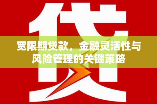 从江宽限期贷款，金融灵活性与风险管理的关键策略