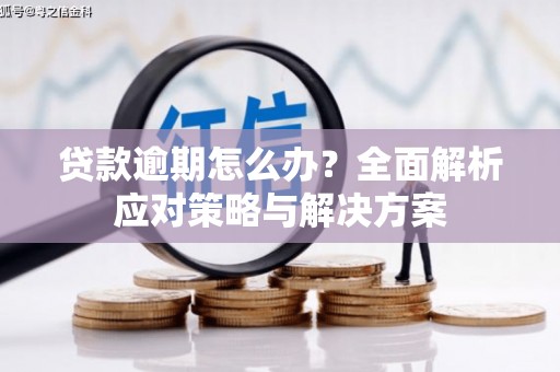 从江贷款逾期怎么办？全面解析应对策略与解决方案