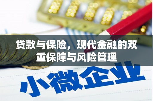 从江贷款与保险，现代金融的双重保障与风险管理