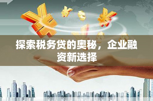 从江探索税务贷的奥秘，企业融资新选择