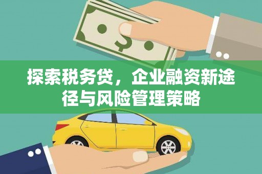 从江探索税务贷，企业融资新途径与风险管理策略