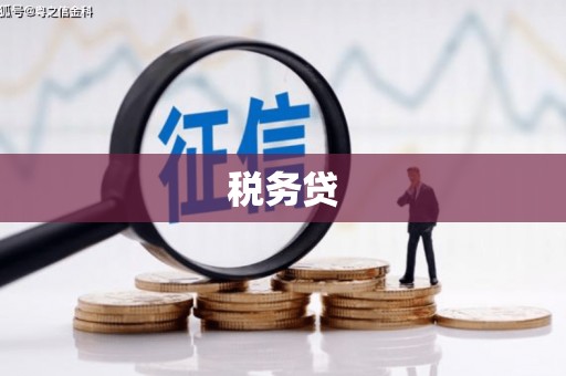 从江税务贷