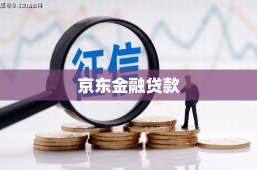 从江京东金融贷款