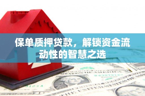从江保单质押贷款，解锁资金流动性的智慧之选
