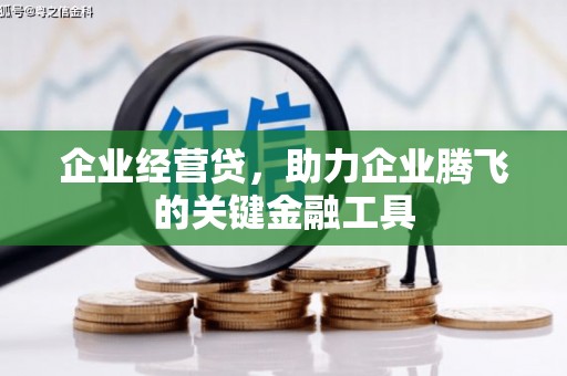 从江企业经营贷，助力企业腾飞的关键金融工具