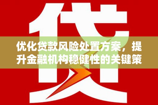从江优化贷款风险处置方案，提升金融机构稳健性的关键策略