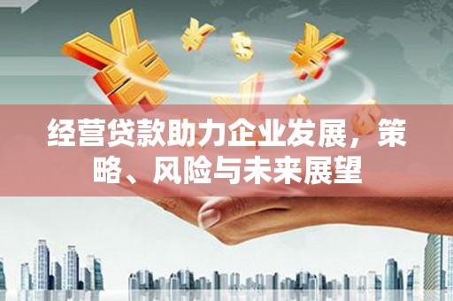 从江经营贷款助力企业发展，策略、风险与未来展望
