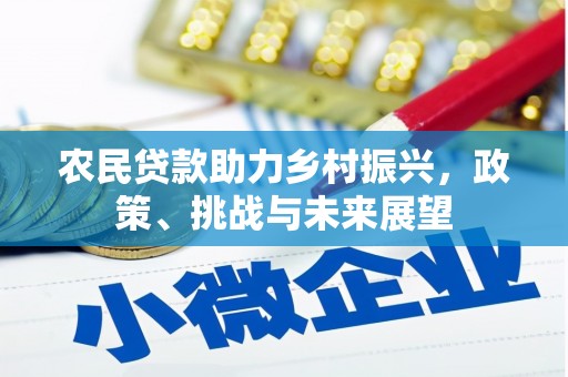 从江农民贷款助力乡村振兴，政策、挑战与未来展望