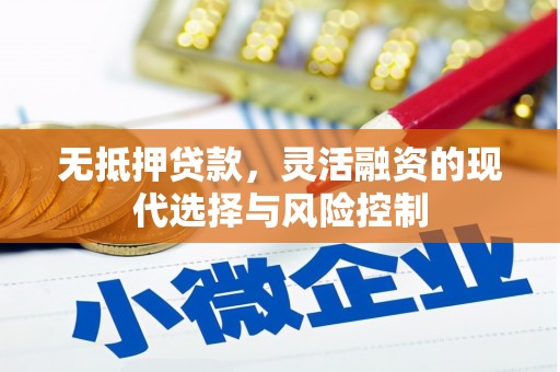 从江无抵押贷款，灵活融资的现代选择与风险控制