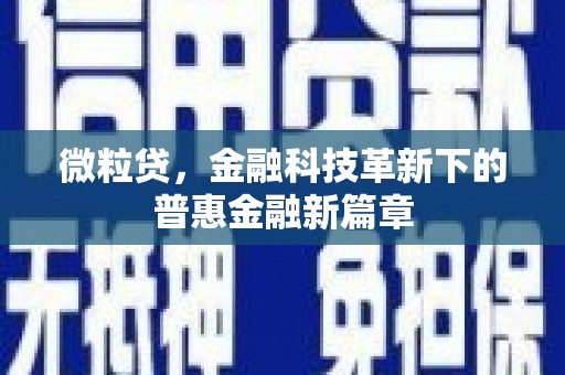 从江微粒贷，金融科技革新下的普惠金融新篇章