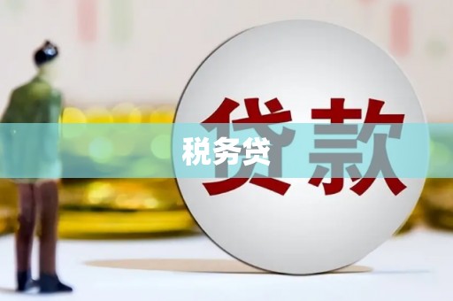 从江税务贷