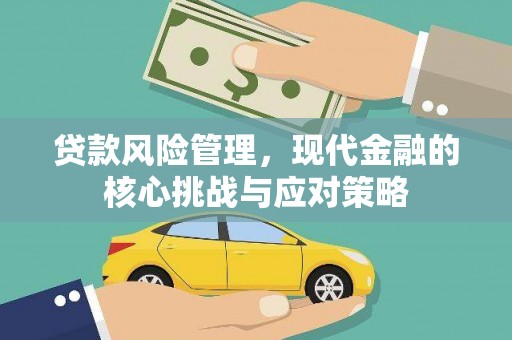 从江贷款风险管理，现代金融的核心挑战与应对策略