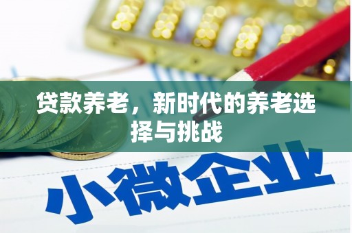 从江贷款养老，新时代的养老选择与挑战