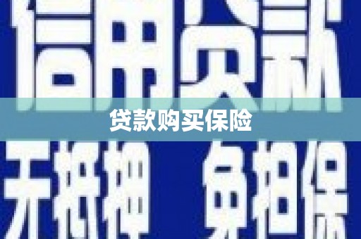从江贷款购买保险