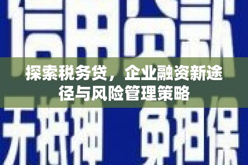 从江探索税务贷，企业融资新途径与风险管理策略