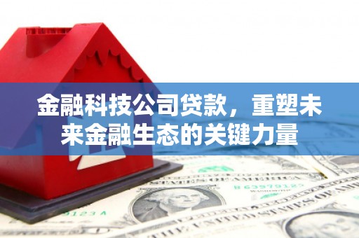 从江金融科技公司贷款，重塑未来金融生态的关键力量