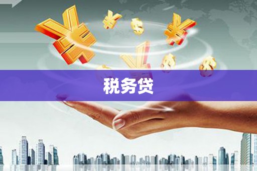 从江税务贷