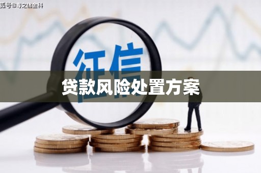 从江贷款风险处置方案