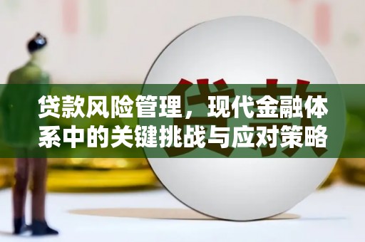 从江贷款风险管理，现代金融体系中的关键挑战与应对策略