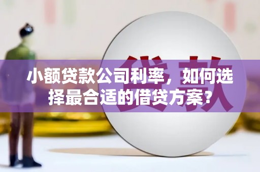 从江小额贷款公司利率，如何选择最合适的借贷方案？