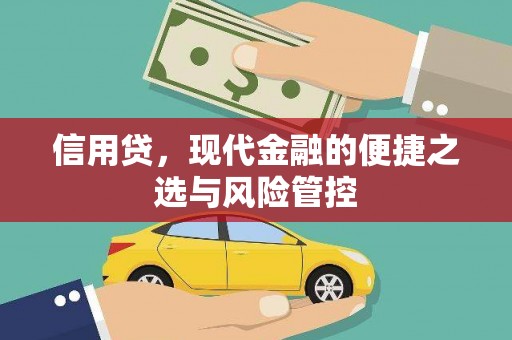 从江信用贷，现代金融的便捷之选与风险管控