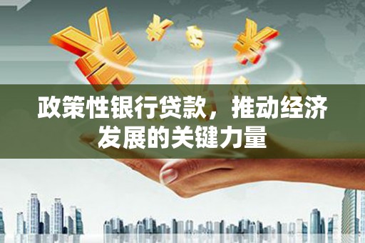 从江政策性银行贷款，推动经济发展的关键力量