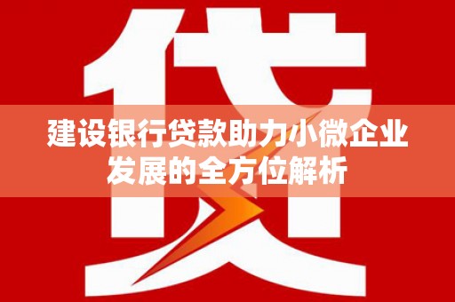 从江建设银行贷款助力小微企业发展的全方位解析