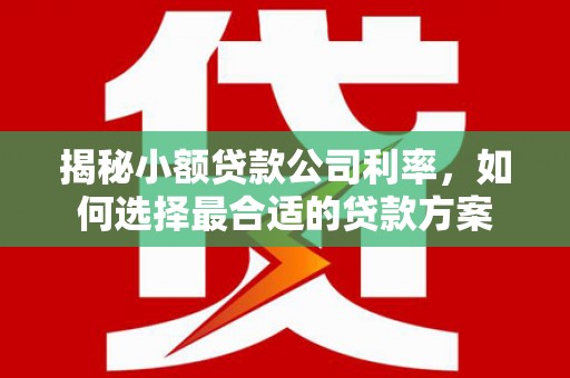 从江揭秘小额贷款公司利率，如何选择最合适的贷款方案