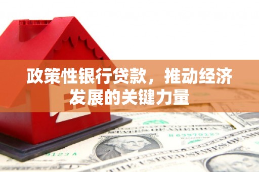 从江政策性银行贷款，推动经济发展的关键力量