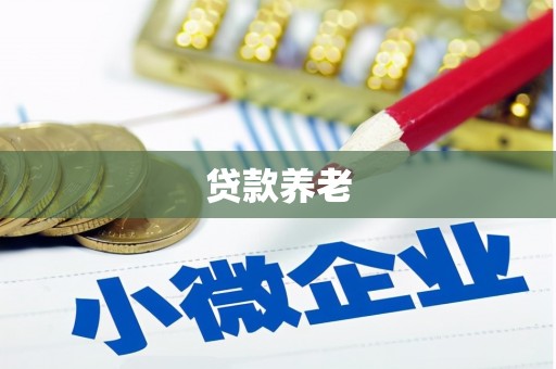 从江贷款养老