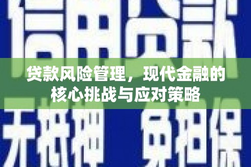 从江贷款风险管理，现代金融的核心挑战与应对策略