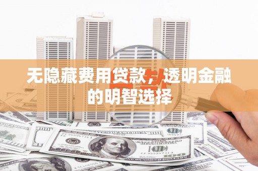 从江无隐藏费用贷款，透明金融的明智选择