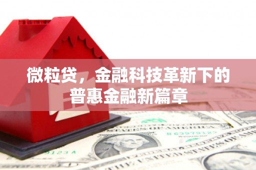 从江微粒贷，金融科技革新下的普惠金融新篇章