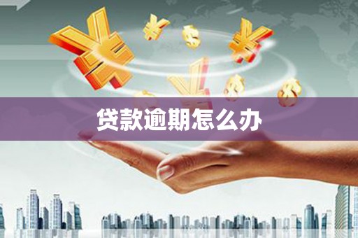 从江贷款逾期怎么办