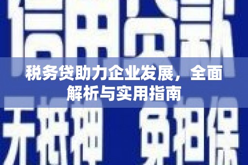 从江税务贷助力企业发展，全面解析与实用指南