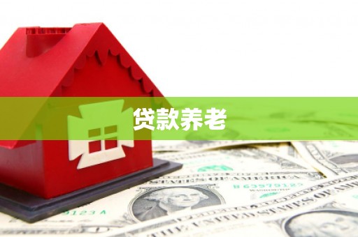 从江贷款养老