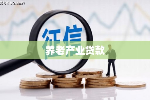 从江养老产业贷款