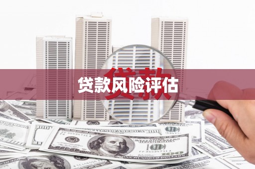从江贷款风险评估
