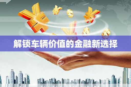 从江解锁车辆价值的金融新选择