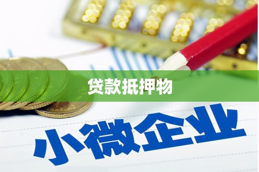 从江贷款抵押物