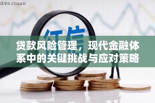 从江贷款风险管理，现代金融体系中的关键挑战与应对策略